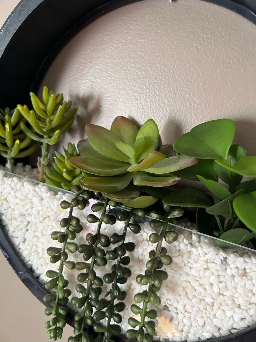 Black Circular Wall Planter with Green Succulents- wall decor- 13in WIDTH- 14inH